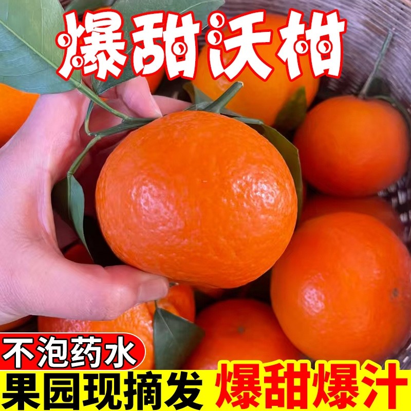 正宗云南沃柑爱媛新鲜孕妇水果柑橘子非广西武鸣县现摘原产地果园,水产肉类/新鲜蔬果/熟食,桔子,淘宝优惠券,粉丝福利购,淘宝优惠卷