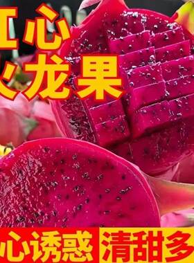 【产地直发】正宗金都一号红心火龙果新鲜应季水果整箱批发