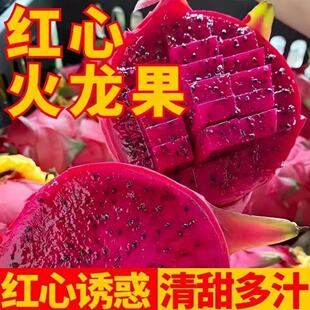 【产地直发】正宗金都一号红心火龙果新鲜应季水果整箱批发