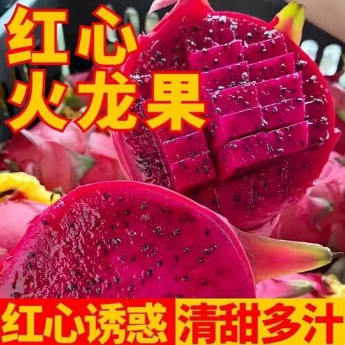 【产地直发】正宗金都一号红心火龙果新鲜应季水果整箱批发