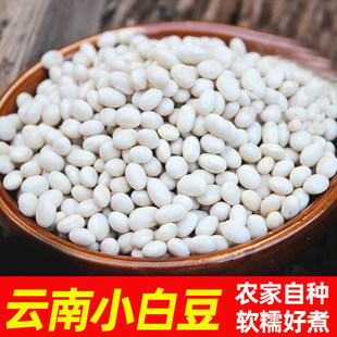 云南小白豆珍珠豆小白豆炖菜煲汤农家小白芸豆小雪豆豆类杂粮
