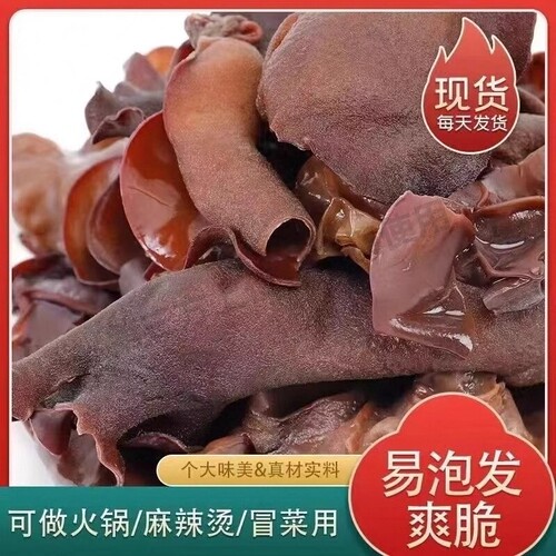 毛木耳干货餐饮火锅食脆木耳农家特产黑木耳凉拌长白山麻辣烫泡发