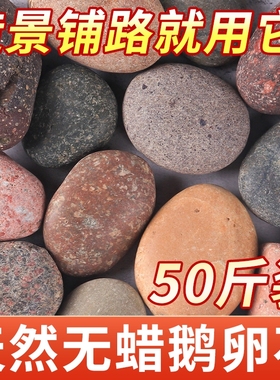 五彩铺地鹅卵石铺路大号河卵石黑白石头原石鱼缸装饰天然鹅软暖石
