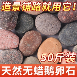 五彩铺地鹅卵石铺路大号河卵石黑白石头原石鱼缸装 饰天然鹅软暖石