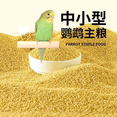 鹦鹉饲料鸟粮新黄谷子带壳小米虎皮鹦鹉饲料玄凤牡丹专用鸟食粮食