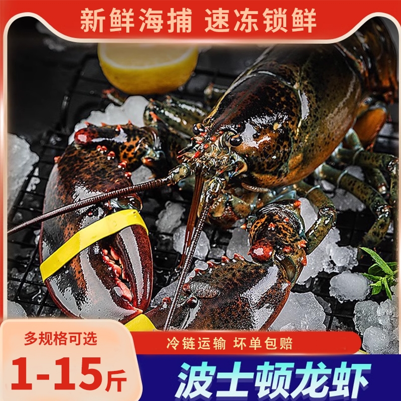 波士顿龙虾鲜活冷冻大龙虾冷冻特大澳龙花龙海鲜水产年货海鲜礼盒