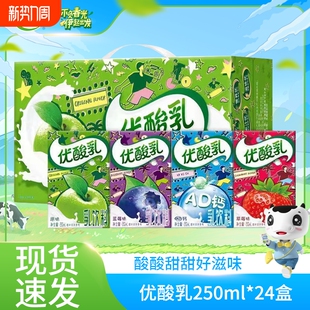 特价 24盒学生饮品礼盒装 伊利优酸乳草莓味250ml 混合 整箱送礼