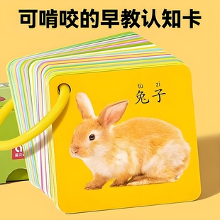 动物卡片早教认知启蒙书儿童识字宝宝看图识物图幼儿数字益智玩具