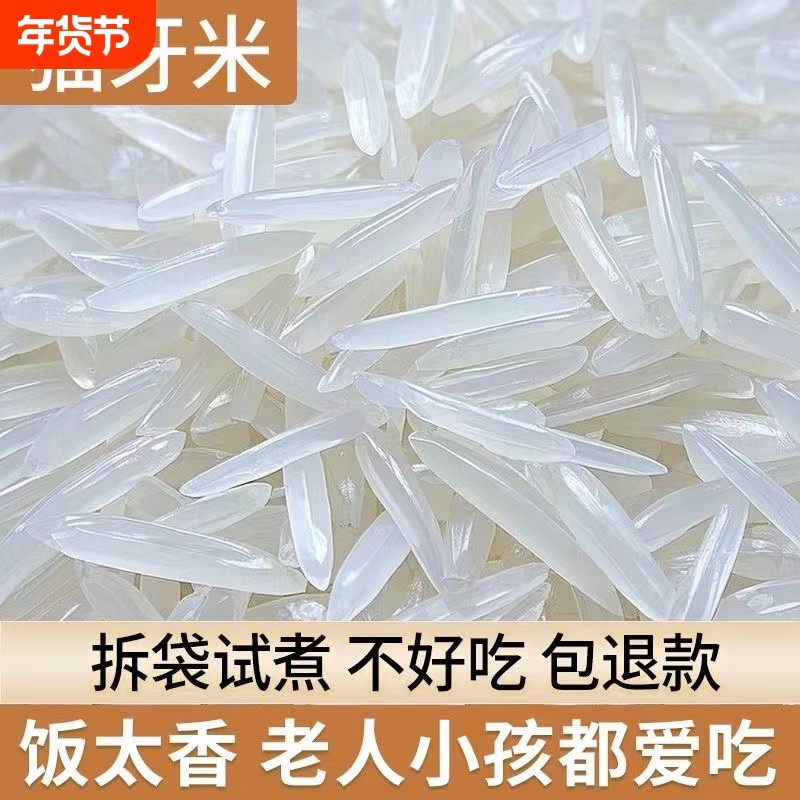 一级猫牙香米广西上林晚稻新米煲仔饭长粒原生态大米优质实惠20斤