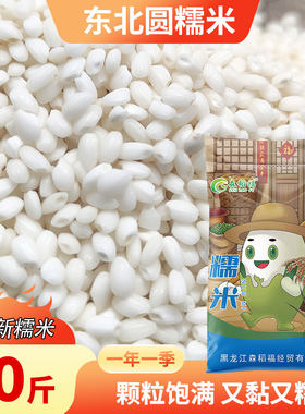 正宗五常糯米10斤产区直供黏软做青团粽子节庆食材优选食用优质