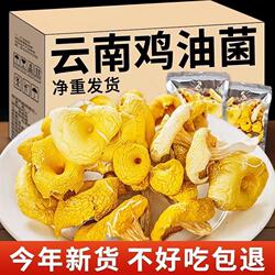 鸡油菌干货菌云南蘑菇新鲜干黄丝菌菇黄金菇榆黄菇煲汤500g香菇