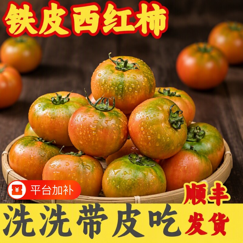 正宗铁皮草莓柿子新鲜当季西红柿生吃水果东北番茄自然熟现摘即食