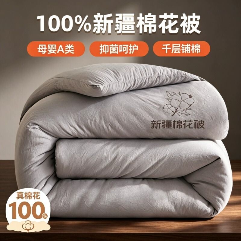 A类新疆棉纯棉加厚冬被学生宿舍可用加厚春秋冬被芯纯棉四季通用