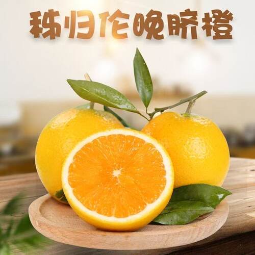 正宗伦晚脐橙秭归手剥橙子新鲜皮薄多汁现摘无籽孕妇当季水果整箱