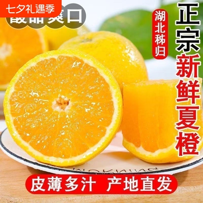 夏脐橙正宗秭归新鲜橙子当季水果