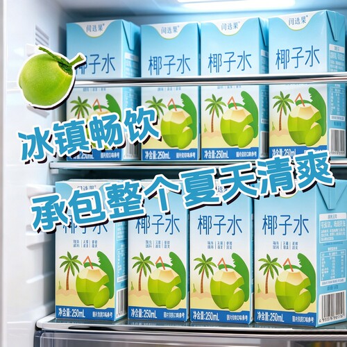 椰子水果汁饮料0脂肪250ml*10盒