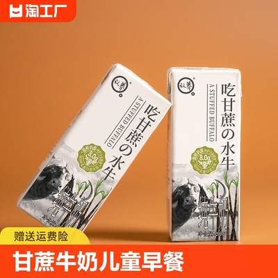 认养吃甘蔗的水牛奶每盒8G乳蛋白