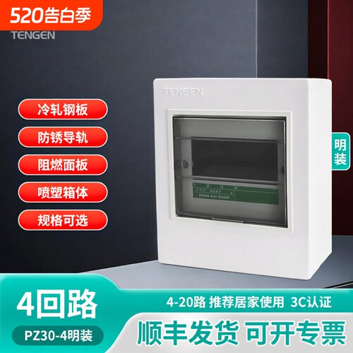 天正电气（TENGEN）配电箱PZ30强电箱明装4回路家用空气开关电箱