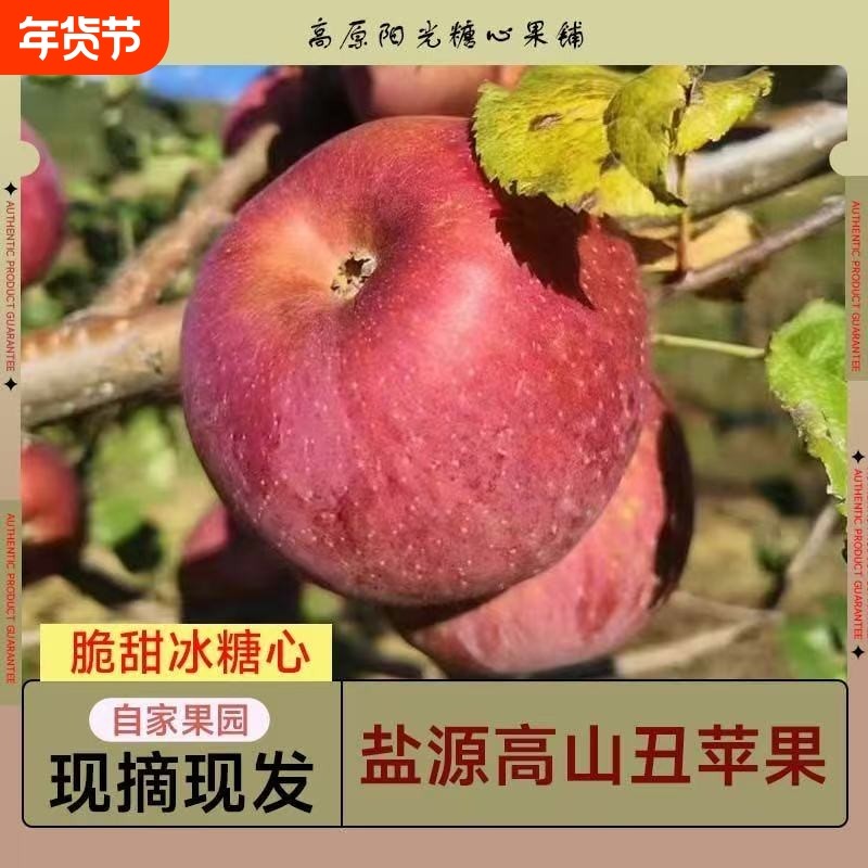 2025年正宗大凉山盐源丑苹果新鲜水果现摘现发新果脆甜果园生鲜,水产肉类/新鲜蔬果/熟食,苹果,淘宝优惠券,粉丝福利购,淘宝优惠卷