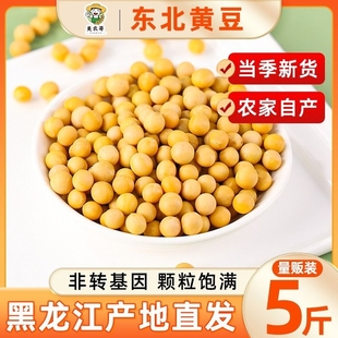 东北黄豆5 10斤打豆浆专用发豆芽农家自种大豆颗粒五谷杂粮发芽