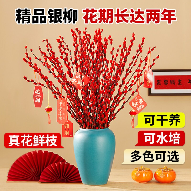 银柳真花鲜枝年宵花客厅摆件干花盆栽抱抱桶红色花卉干枝水培植物