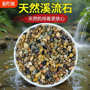 5斤天然鹅卵石原生溪流石鱼缸铺底砂装 饰过滤造景小石子豆石养鱼