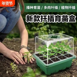 园艺育苗盆三件套花盆塑料扦插盆穴盘气闷养12孔培育盒育苗箱插土