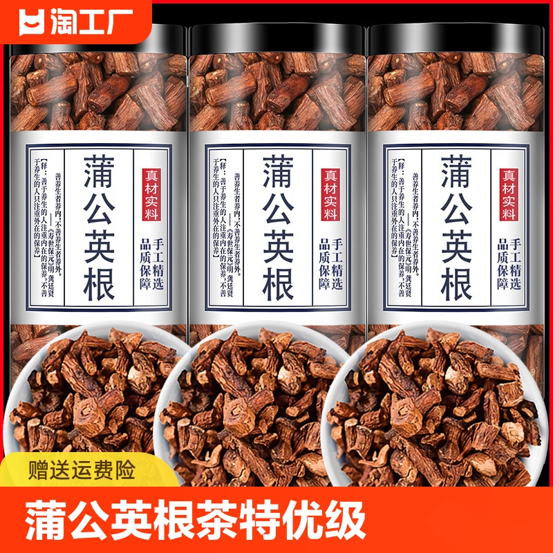 特优级蒲公英根茶散结官方正品