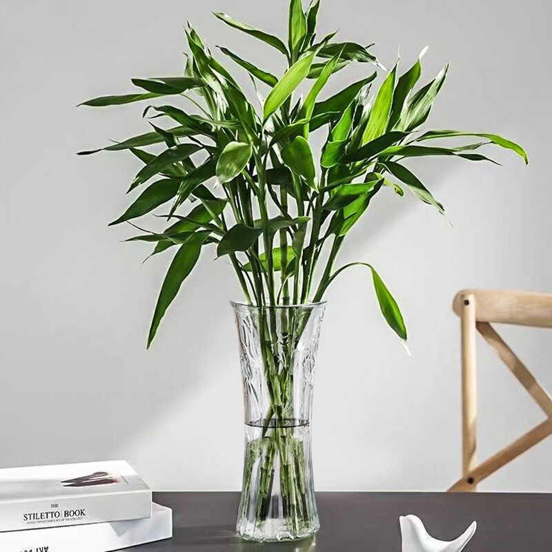 特大号玻璃花瓶透明水养富贵竹办公餐桌客厅家用插干花瓶装饰摆件