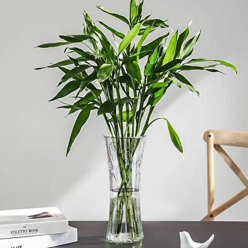 特大号玻璃花瓶透明水养富贵竹办公餐桌客厅家用插干花瓶装饰摆件