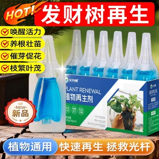 发财树专用营养液植物再生剂叶子发黄掉叶生根复活通用型复合肥料