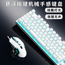 有线键盘鼠标套装 电脑笔记本电竞游戏专用静音三件套 机械手感台式
