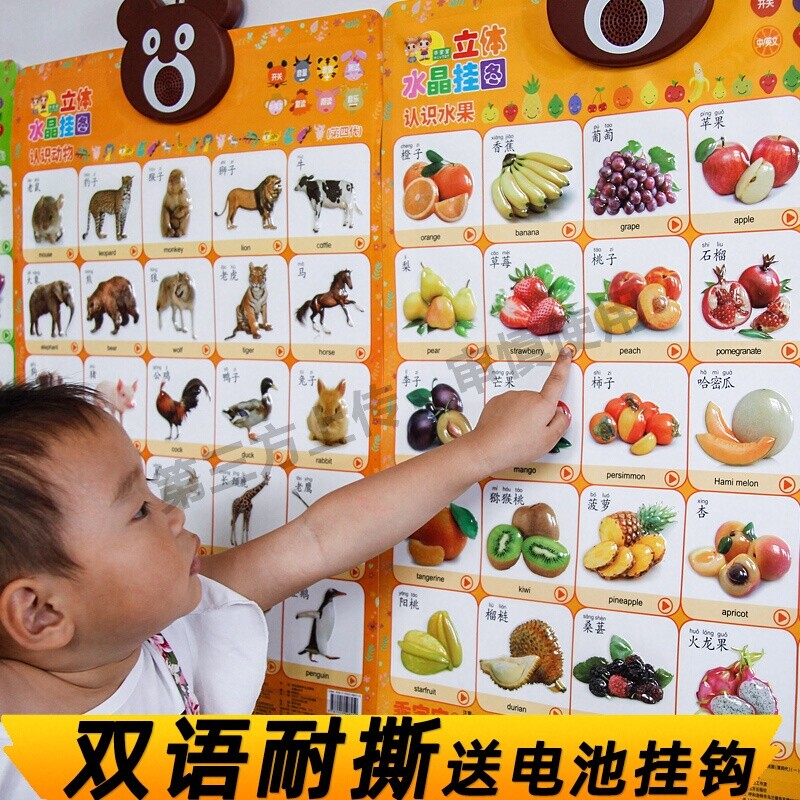 宝宝启蒙早教婴幼儿童认知有声挂图点读发音学说话看图认识字人物