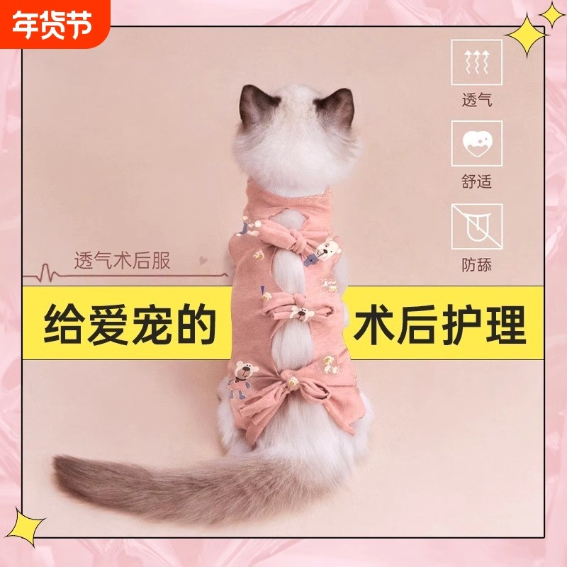 猫咪绝育服母猫手术服衣服透气戒奶服断奶服公猫宠物猫纯棉公主