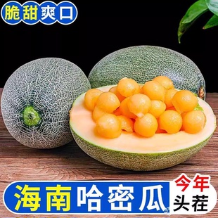 【爆甜】正宗海南西州哈密瓜脆甜应当季水果孕妇可食产地整箱包邮