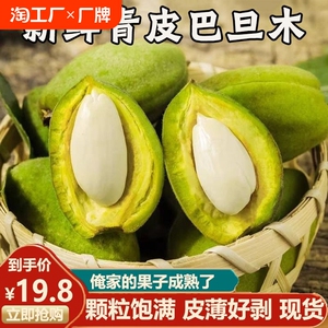 新鲜巴旦木现摘巴旦木带青皮绿皮生巴旦木扁桃仁新鲜大杏仁5斤s