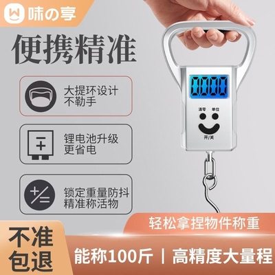 迷你手提电子秤钓鱼秤便携高精度家用快递称弹簧秤小型充电吊钩秤