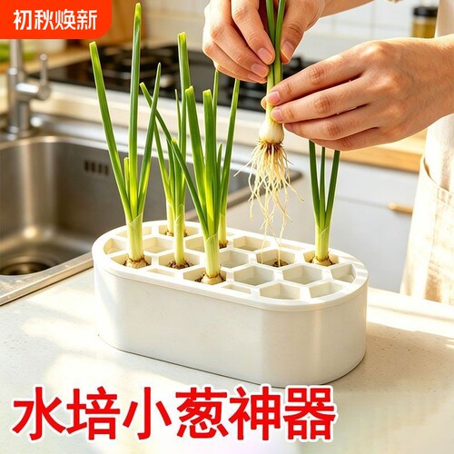 水培蔬菜种植葱花大蒜生菜水培箱家庭室内阳台无公害水培器培育盒