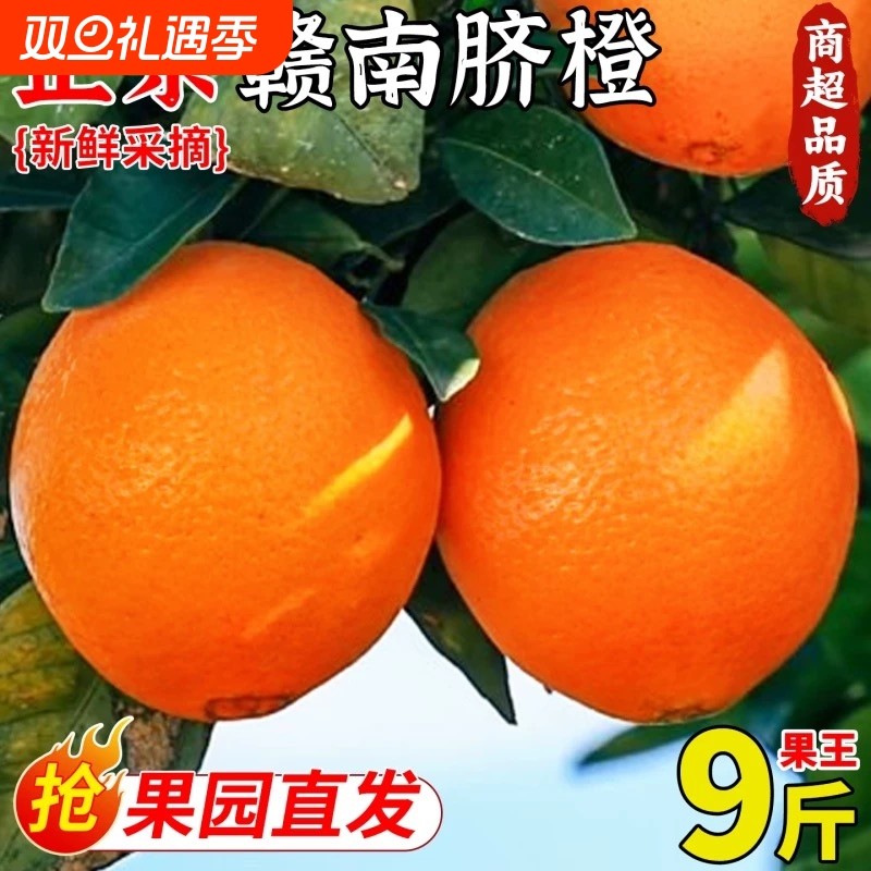 正宗赣南脐橙当季新鲜橙子应季甜橙多汁薄皮大果超大寻乌脐橙果园