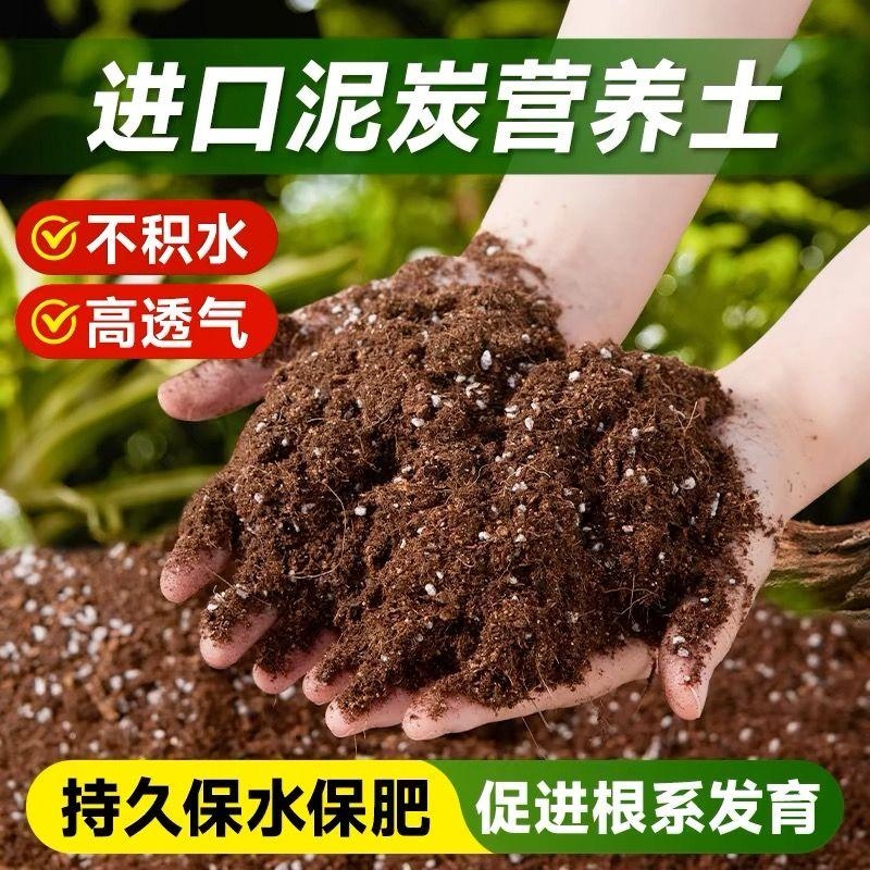 营养土种菜专用通用土壤花土