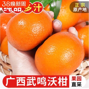 广西沃柑10斤水果柑橘新鲜大果桔子橘子当季砂糖皇帝蜜柑整箱包邮