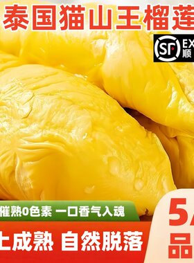 泰国榴莲肉冷冻果肉新鲜速冻冻榴莲进口水果液氮鲜果猫山树熟热带
