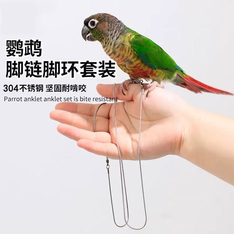鹦鹉不锈钢脚链放飞绳牵引绳超轻不伤脚鸟用外出遛鸟绳脚环逗鸟绳