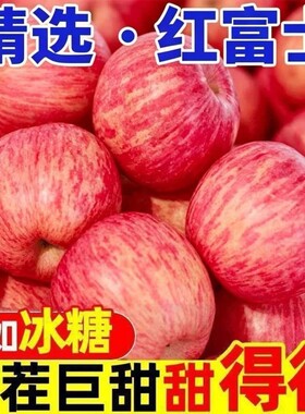 正宗山东红富士当季新鲜红富士苹果水果陕西膜袋冰糖心丑苹果脆甜