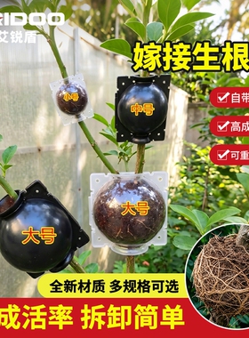 植物高压嫁接盒繁殖球扦插育苗高压生根器月季生根盒嫁接移栽专用