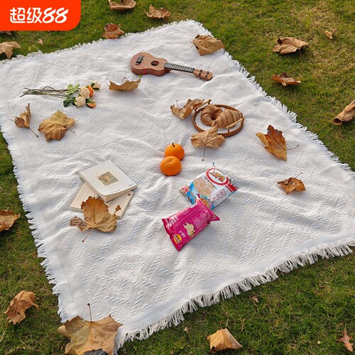 T野餐垫防潮垫野餐布户外露营白色毯子沙滩垫帐篷地垫法式拍现代