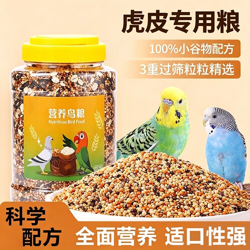 【鹦鹉都爱吃的粮食】天然五色黍