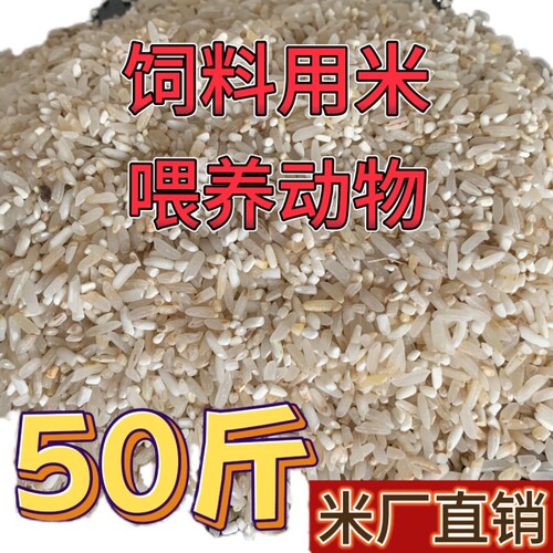 色选米50斤自产饲料用米