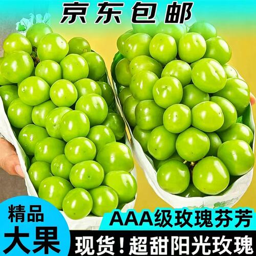 阳光玫瑰葡萄新鲜水果礼盒晴王香印青提5斤应当季整箱无籽提子
