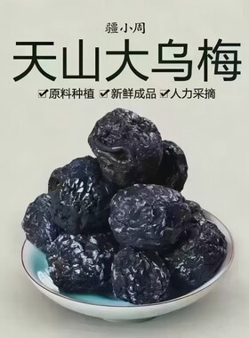 正宗天山大乌梅500g休闲零食